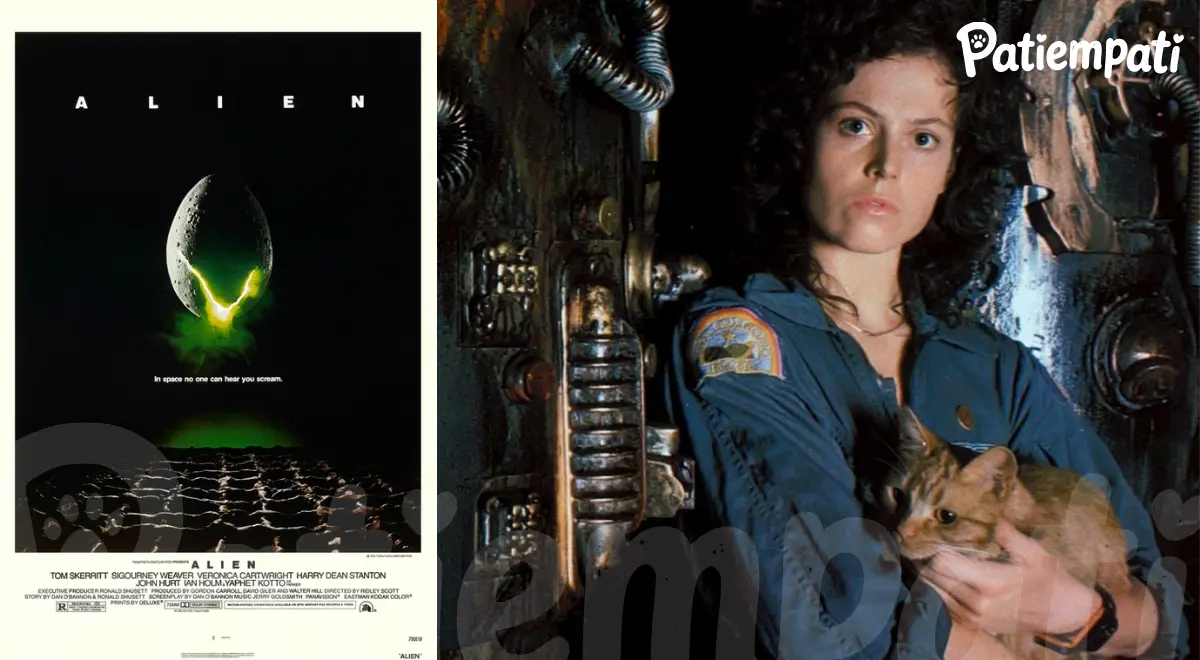 Alien Yaratık filminden bir sahne ve film afişi