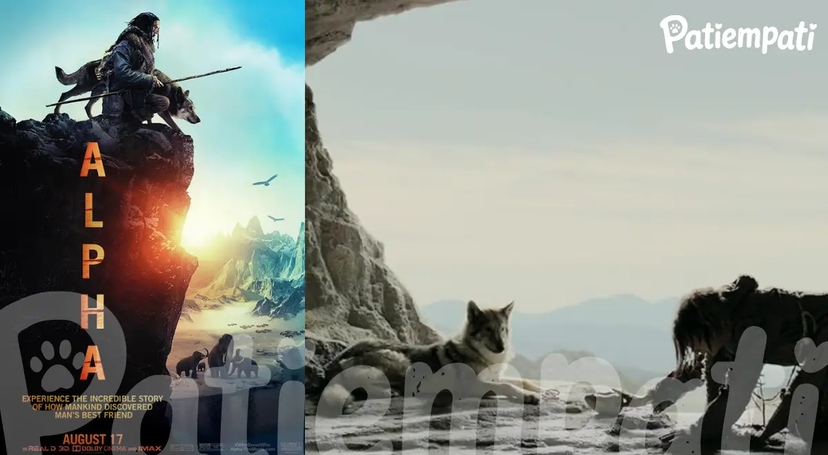 Alpha filminden bir sahne ve film afişi