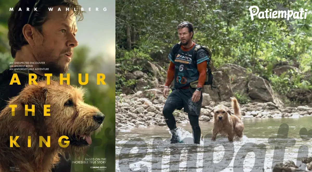 Arthur the King filminden bir sahne ve film afişi