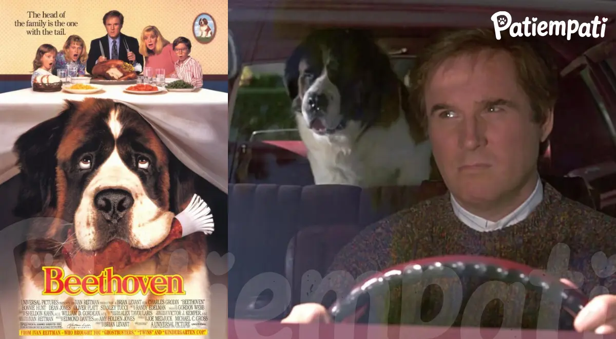 Beethoven filminden bir sahne ve film afişi