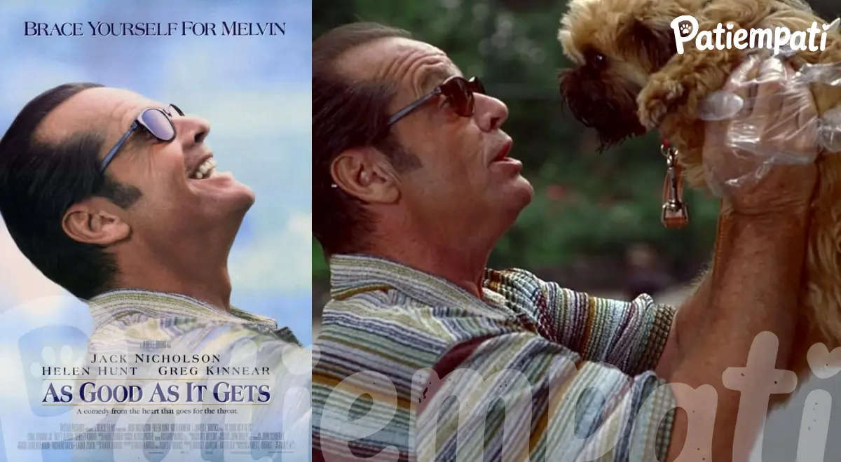 Benden Bu Kadar filminden bir sahne ve film afişi