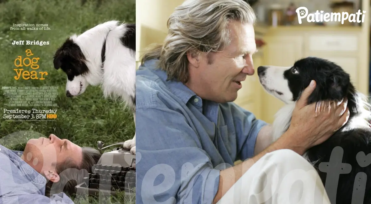 Bir Köpek Yılı filminden bir sahne ve film afişi