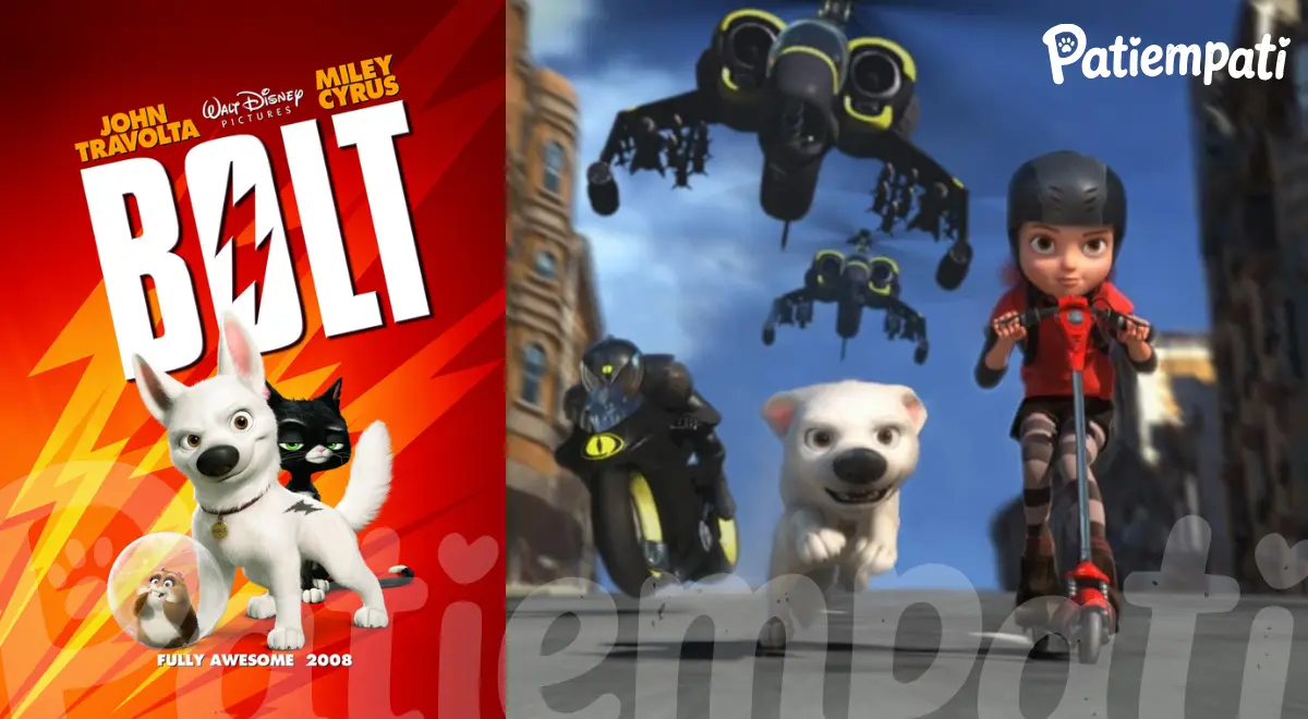 Bolt filminden bir sahne ve film afişi