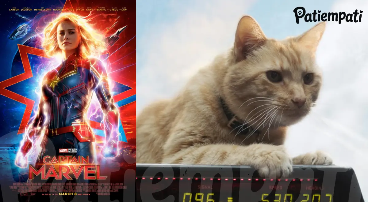 Kaptan Marvel filminden bir sahne ve film afişi