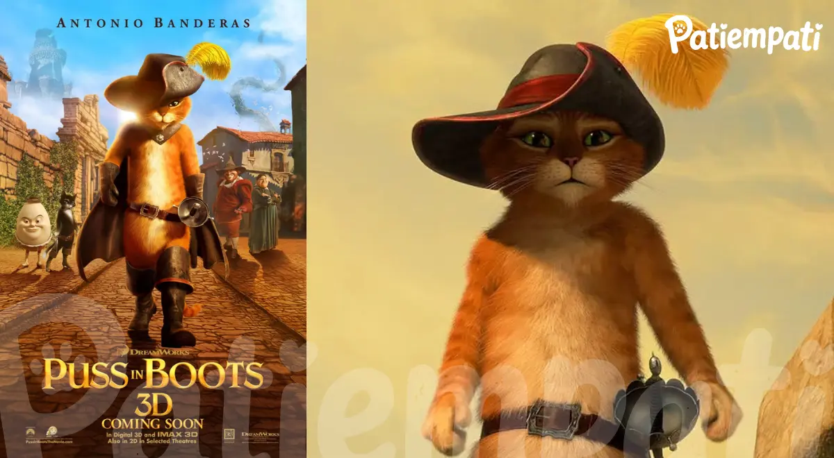 Çizmeli Kedi filminden bir sahne ve film afişi