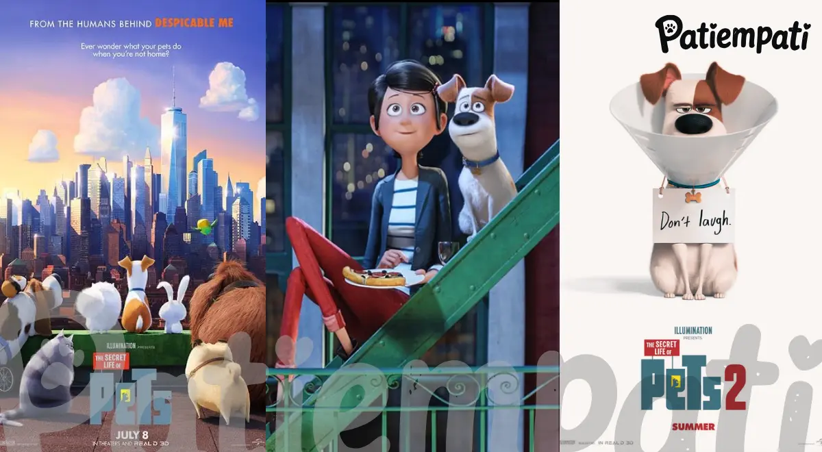 Evcil Hayvanların Gizli Yaşamı 1 ve 2 filmlerinden bir sahne ve film afişleri