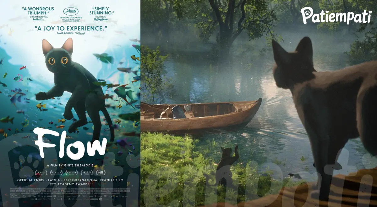 Flow filminden bir sahne ve film afişi