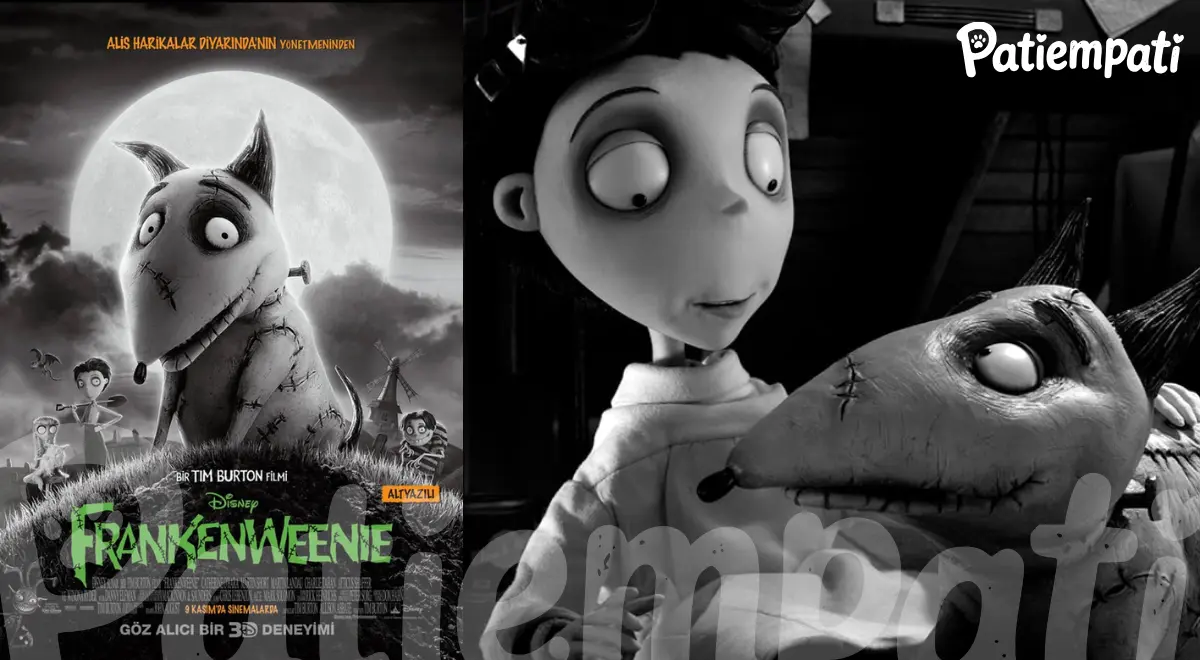 Frankenweenie filminden bir sahne ve film afişi