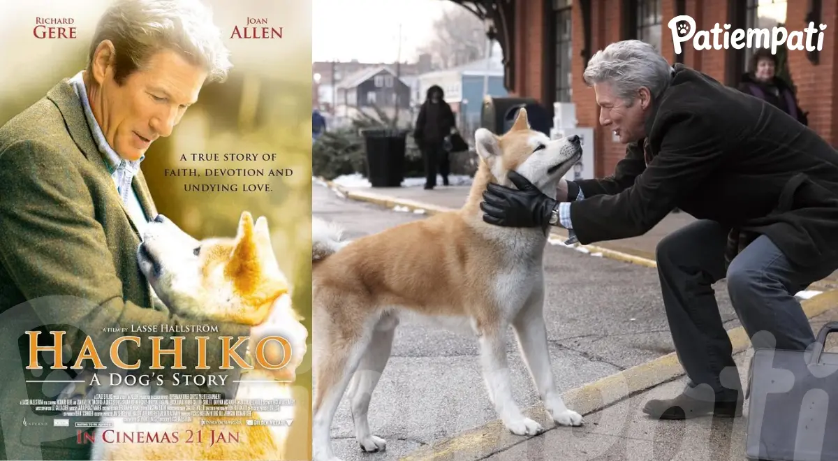 Hachi Bir Köpeğin Hikayesi filminden bir sahne ve film afişi