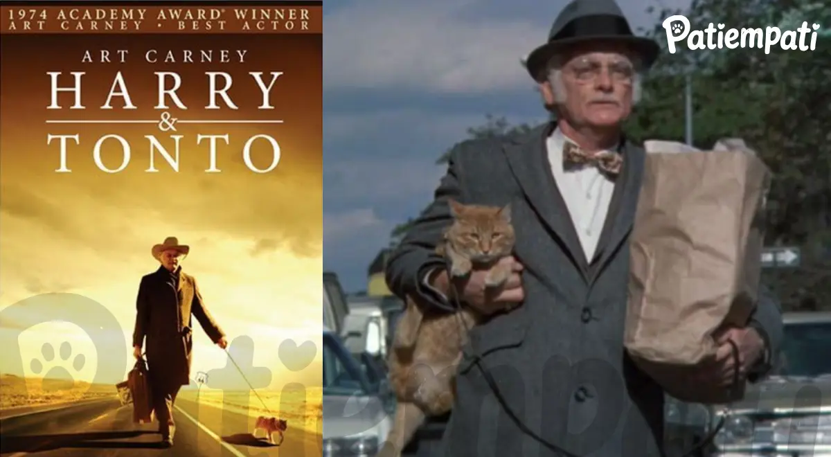 Harry ve Tonto filminden bir sahne ve film afişi