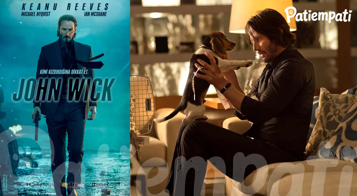 John Wick filminden bir sahne ve film afişi