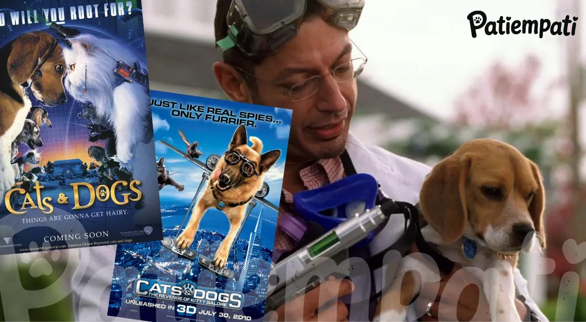 Kediler ve Köpekler film serilerinden bir sahne ve film afişleri