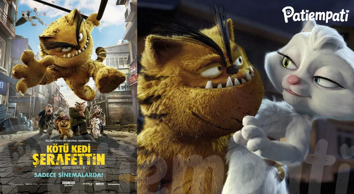 Kötü Kedi Şerafettin filminden bir sahne ve film afişi