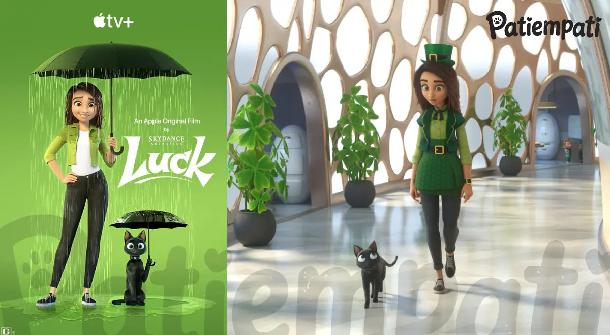 Luck filminden siyah kedi Bob'un yer aldığı bir sahne ve film afişi