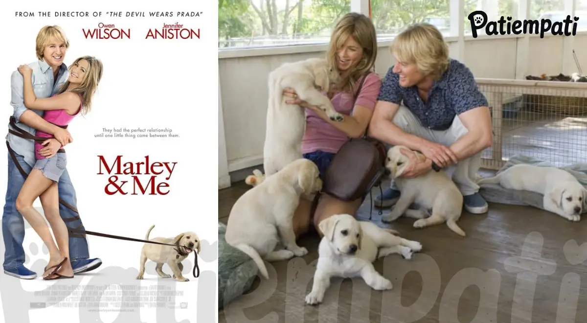 Marley ve Ben filminden bir sahne ve film afişi