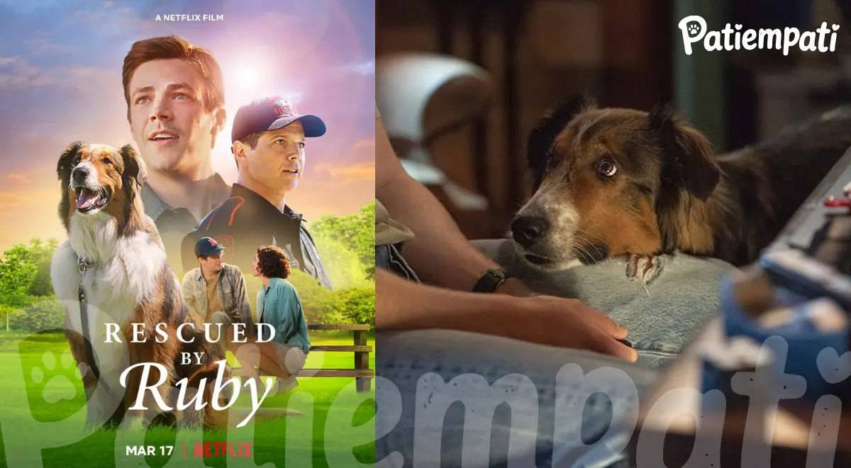 Ruby'nin Kurtuluş Öyküsü filminden bir sahne ve film afişi