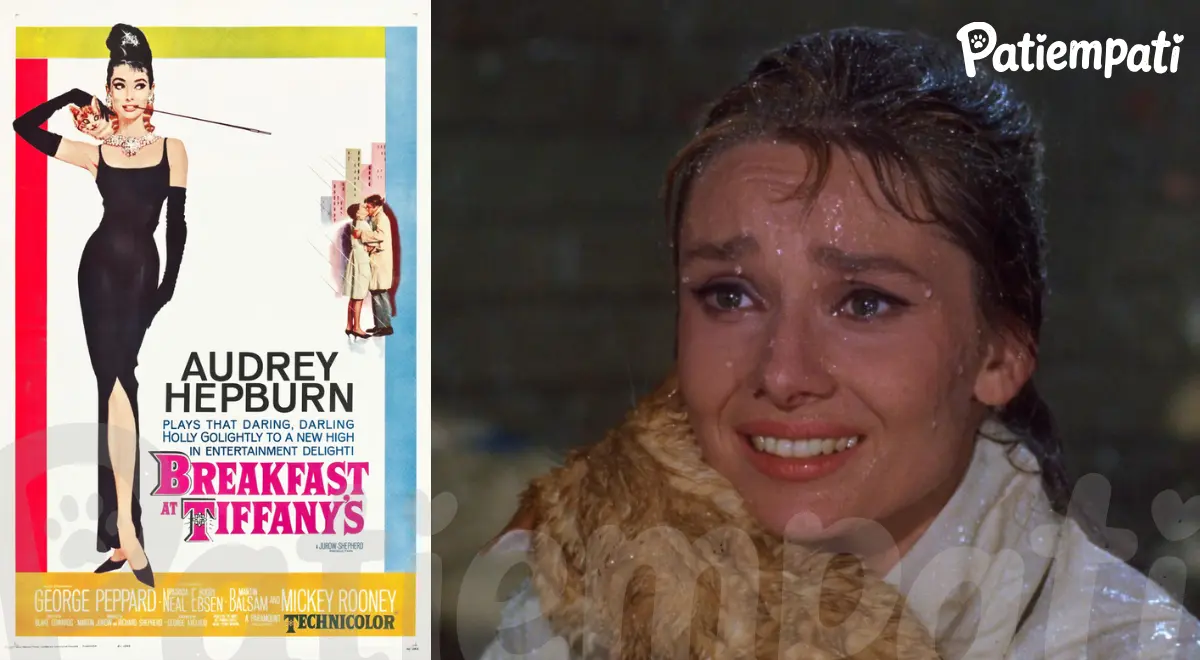 Tiffany’de Kahvaltı filminden bir sahne ve film afişi