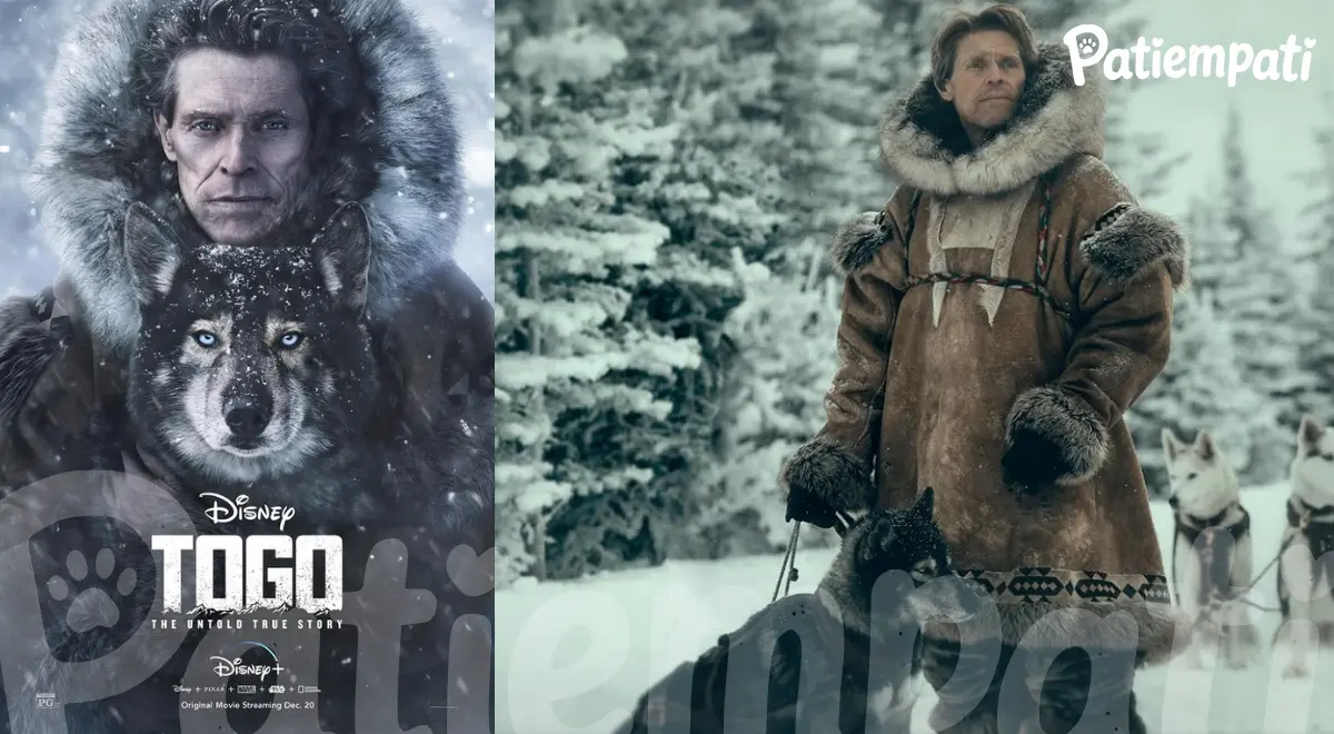Togo filminden bir sahne ve film afişi